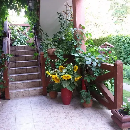Vila Sasa