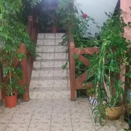 Vila Sasa Guest house *