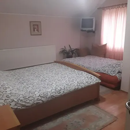 Guest house Vila Sasa *