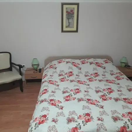 Vila Sasa Guest house *