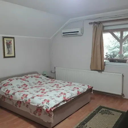 Vila Sasa Guest house